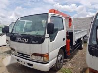 Isuzu Elf Japan Surplus Truck MT White 