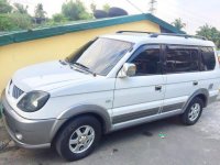 Well-maintained Mitsubishi Adventure 2009 for sale