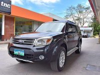 2013 Ford Everest AT Limited 698t Nego Batangas Area for sale