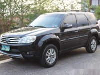 2010 Ford Escape XLT AT Black Panther