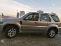 Ford Escape 2010 low mileage Cebu City for sale