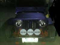 Owner Type Jeep 1994 for sale 