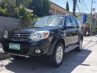 2014 Ford Everest Automatic - 14 FOR SALE 