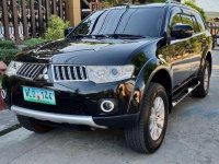 2013 Mitsubishi Montero for sale