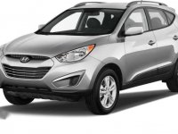 Looking for Hyundai Tucson 2010 above