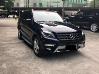 2015 Mercedes Benz ML 250 for sale