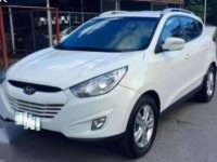 Hyundai Tucson 2010 for sale 