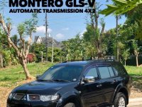 2013 Mitsubishi Montero for sale