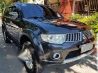 2010 Mitsubishi MONTERO Sport for sale 