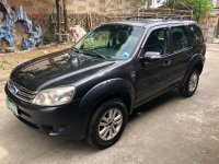 2nd Hand Ford Escape 2010 for sale in Caloocan