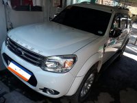 Sell 2nd Hand Used 2015 Ford Everest at 80000 km in Toledo