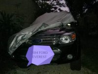 2014 Ford Everest for sale in San Jose del Monte