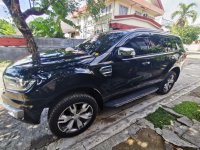 2016 Ford Everest for sale in Taytay