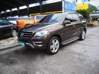 Mercedes-Benz ML-Class 2013 Automatic Diesel for sale in Pasig
