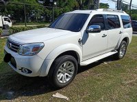 Ford Everest 2013 Automatic Diesel for sale in Pasay