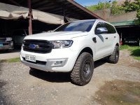 Sell 2nd Hand 2016 Ford Everest Automatic Diesel at 8000 km in Cebu City