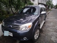 2014 Ford Everest for sale in Pasig 