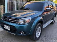 2015 Ford Everest for sale in Cebu City 