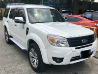 2013 Ford Everest for sale in Pasig 