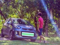 Grey Kia Picanto 2016 Automatic Gasoline for sale 