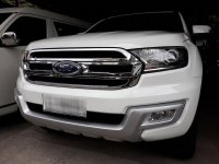 2017 Ford Everest for sale in Manila