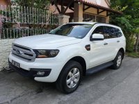 Ford Everest 2016 for sale in Taytay