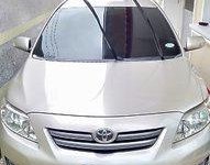 Beige Toyota Corolla Altis 2008 Manual for sale