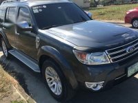 Grey Ford Everest for sale in Biñan