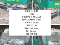 Sell Green Isuzu Giga in Quezon City