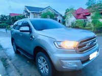 Sell Silver 2017 Ford Everest in Manila