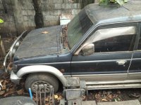 Sell Blue Mitsubishi Pajero Wagon (Estate) in Mandaluyong