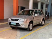 Sell Silver 2013 Ford Escape in Pasay