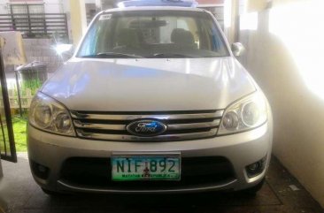 2010 Ford Escape 4x2 AT Silver SUV For Sale 