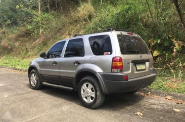 Ford Escape 2004 Well maintained Silver For Sale 