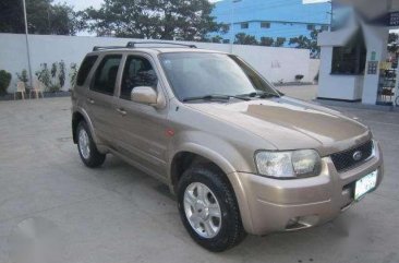 Ford Escape 2004 Limited Edition Brown For Sale 