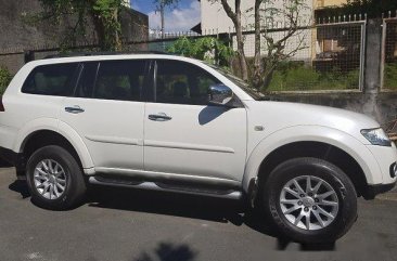 Mitsubishi Montero Sport 2010 for sale