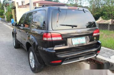 2010 Ford Escape XLT AT Black Panther