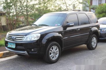 2010 Ford Escape XLT AT Black Panther