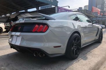 2017 Ford Mustang Shelby GT350R for sale