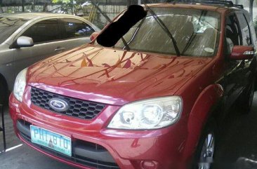 Well-kept Ford Escape 2010 for sale