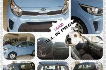 KIA Picanto for sale