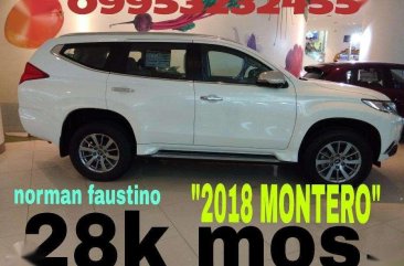 2018 Mitsubishi Montero Promo