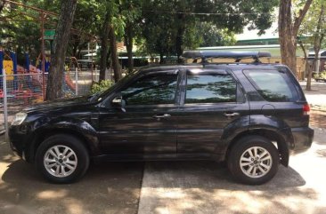 2010 Ford Escape 2010 A/T for sale 