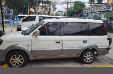 Mitsubishi Adventure Super Sports 2010