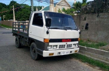 ISUZU Elf Truck With Steel Siding White For Sale 