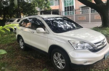 honda crv 2010 pearl white for sale