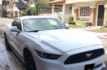 2017 ford mustang ecoboost for sale 