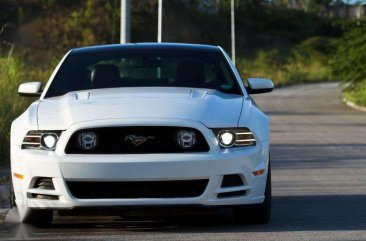 2013 Ford Mustang V8 5L 280k Downpayment with 19s SSR