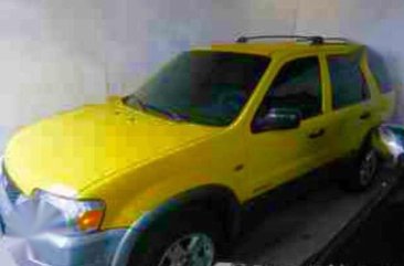 Ford Escape 2007 Yellow SUV For Sale 