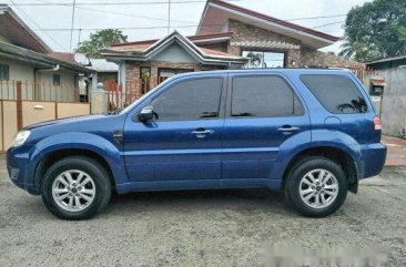 Ford Escape 2010 for sale